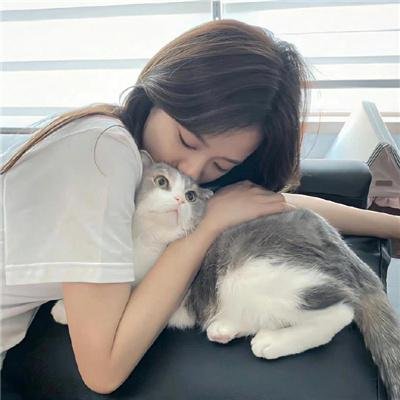 火线第三季